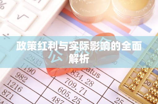 润州政策红利与实际影响的全面解析