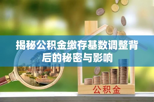 润州揭秘公积金缴存基数调整背后的秘密与影响