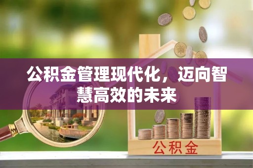 润州公积金管理现代化，迈向智慧高效的未来